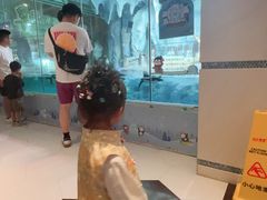 -帝企鹅自助餐厅•儿童岛•真企鹅(长隆企鹅酒店)