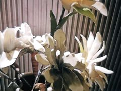 -仟汇足道·SPA(秀洲总店)