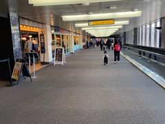 -纽瓦克自由国际机场