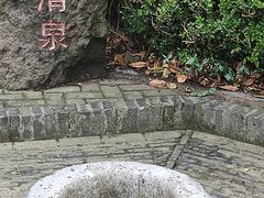 -上海佘山国家森林公园天马山园