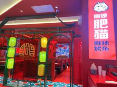 -南锣肥猫·麻辣烤鱼·16年现烤现卖(财富购物中心店)