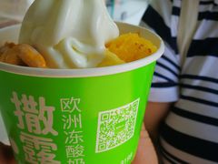 -Salud撒露欧洲冻酸奶(蓝色港湾店)