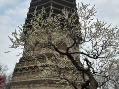 -玲珑塔公园