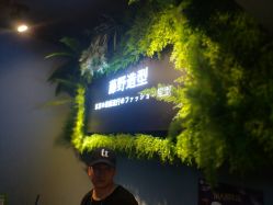 点击看大图 -藤野造型
