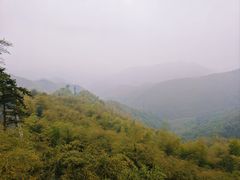 -莫干山风景区