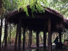 -溱湖国家湿地公园