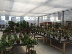 -南通鲜花小镇