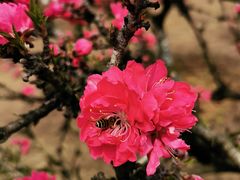 -白塘生态植物园