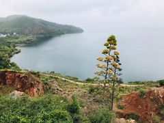 -抚仙湖禄充风景区