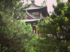 -西安青龙寺遗址景区