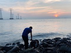 -宝安西湾红树林湿地公园