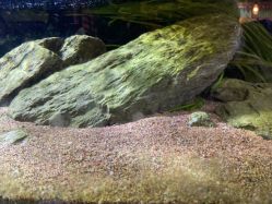 -青木造型HAIR·あおき髪を刈る潮人店