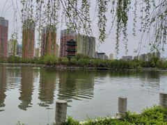 -迎泽公园