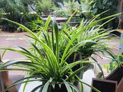 -时光花园(白鹭洲店)