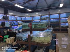 水产区-渔人湾码头海鲜市场负二楼