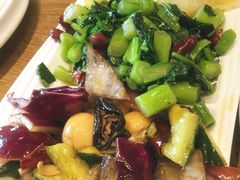 凉拌菜心-直隶安家罩饼(复兴路店)