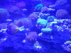 -太平洋海底世界