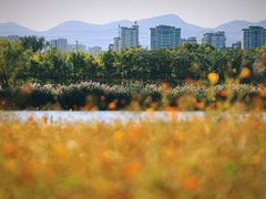 -永定河休闲森林公园