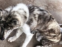 -元生咖啡(陶溪川店)