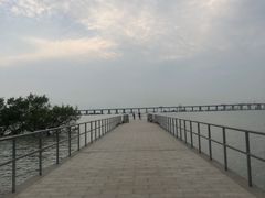 -宝安西湾红树林湿地公园