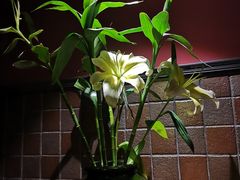 -时间仓(月湖公园店)