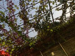 -伊隆斋(什刹海店)