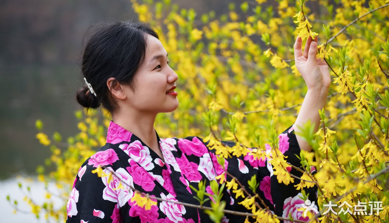 听说今年世纪公园种了一片彩色油菜花,果断安排上!