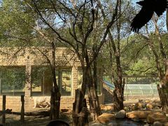 -北京野生动物园