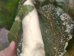 -叶婆婆豆浆馍馍