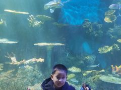 -华夏文旅海洋公园