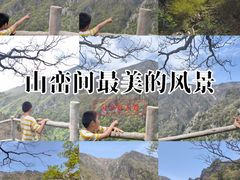 -牛背梁国家森林公园