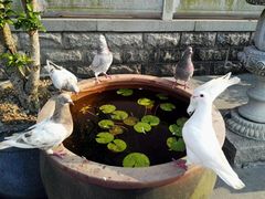 -博鳌禅寺