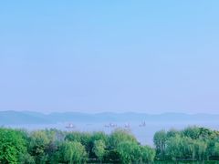 -上海市保健医疗中心(华东疗养院)