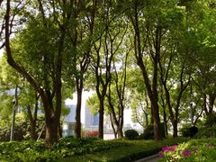 -北外滩滨江绿地