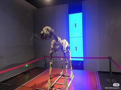 -九江市博物馆