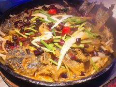 -老板恋上鱼(恒隆广场店)