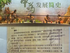 -广东中医药博物馆