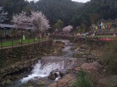 -宜春明月山维景国际温泉度假酒店
