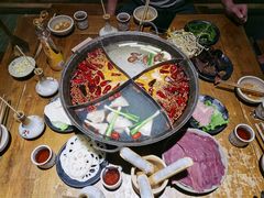 -白乐天毛肚火锅馆(南滨路店)