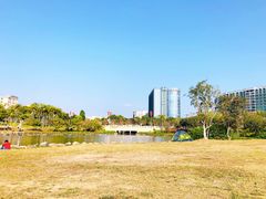 -宝安西湾红树林湿地公园