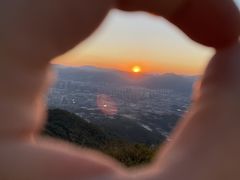 -长虫山生态公园风景林