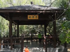 -大兴滨河森林公园