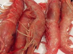 -川骄海鲜自助(河东店)