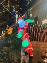 -上海玫瑰医疗美容医院