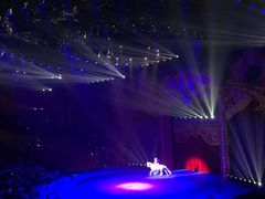 -珠海横琴长隆《卡卡虎奇遇记》