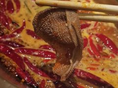 -小龙坎火锅(春熙太古里店)
