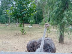 -大连森林动物园