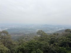 -黄埔油麻山森林公园