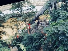 -郑州银基黄帝宫御温泉