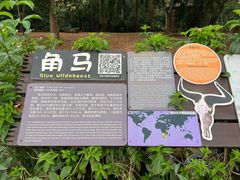 -海南热带野生动植物园